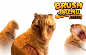 Play Brush Jjaemu now!
