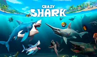 Crazy Shark