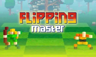 Flipping Master