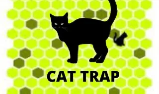 Trap The Cat
